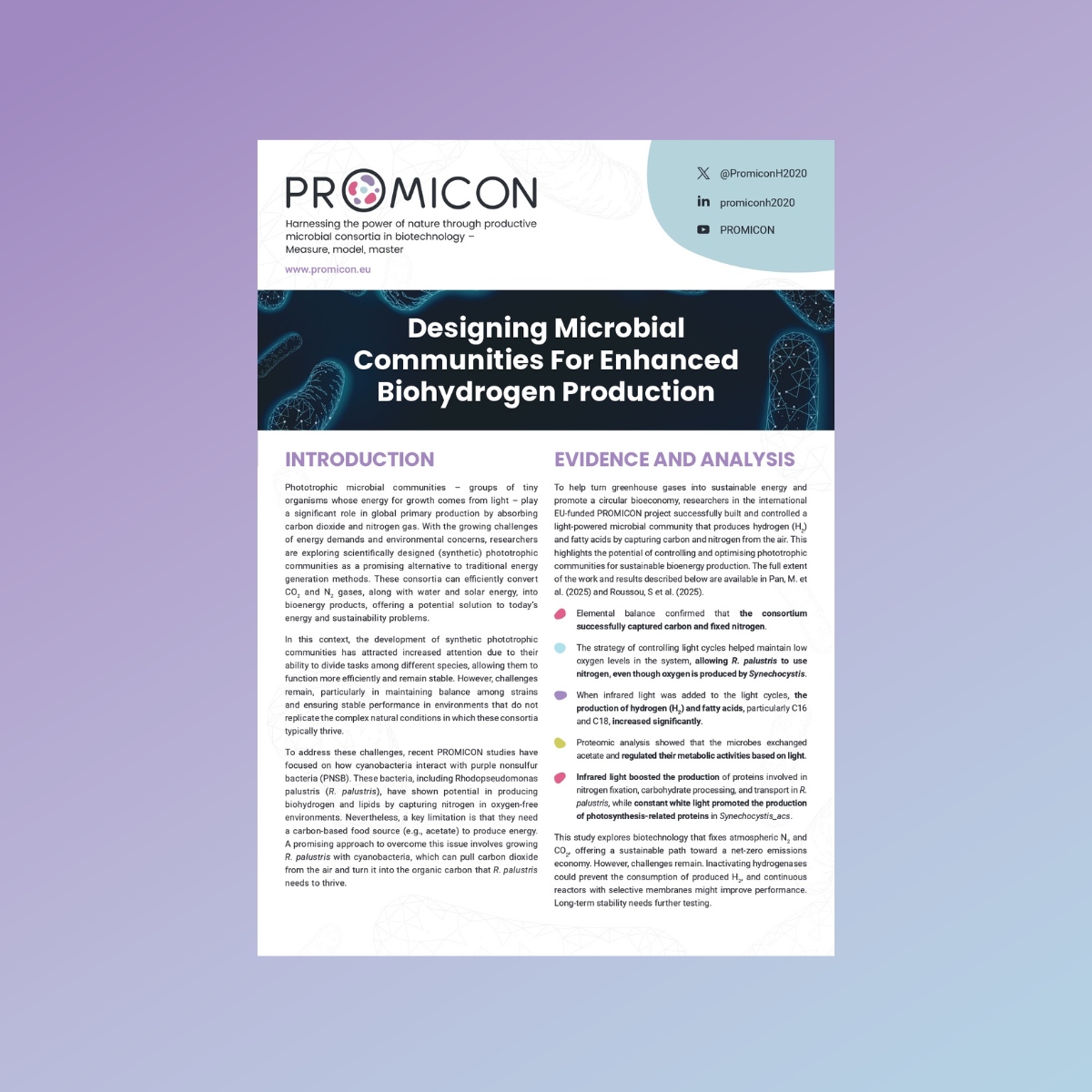 Designing Microbial  Communities For Enhanced  Biohydrogen Production